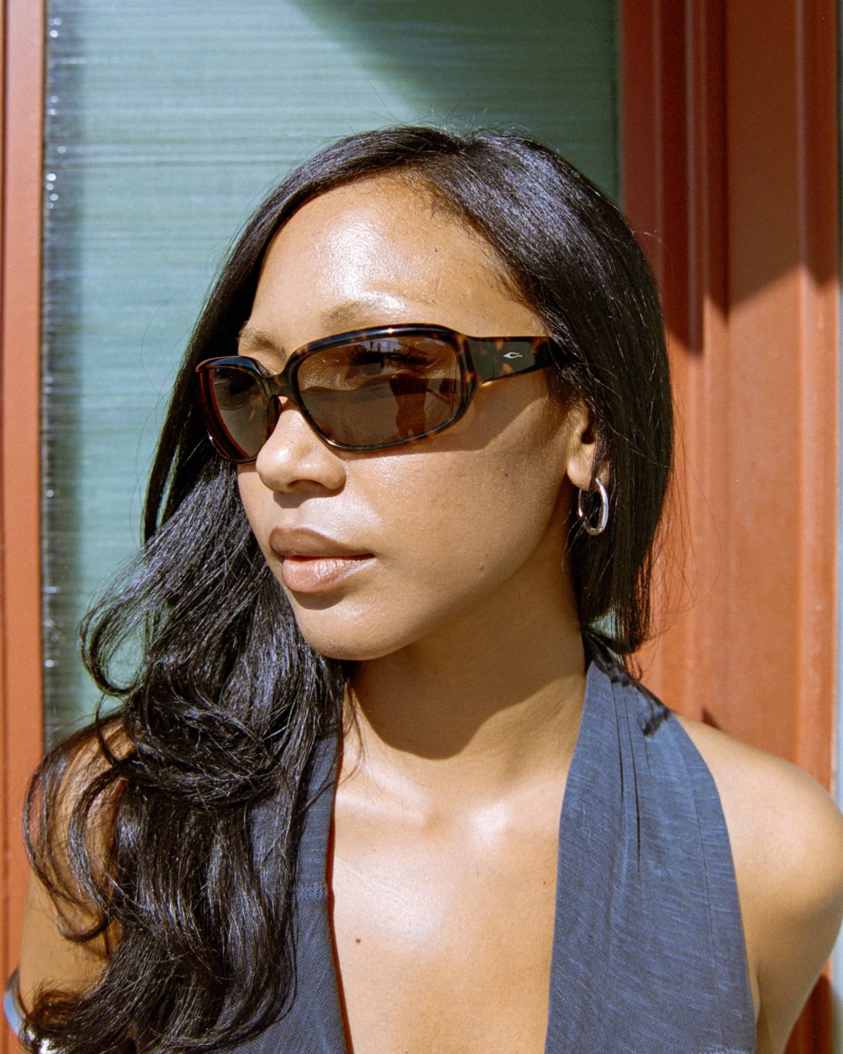 The Stone Echo - Dark Tortoise Bio Polarized-The Stone Echo - Dark Tortoise Bio Polarized-3