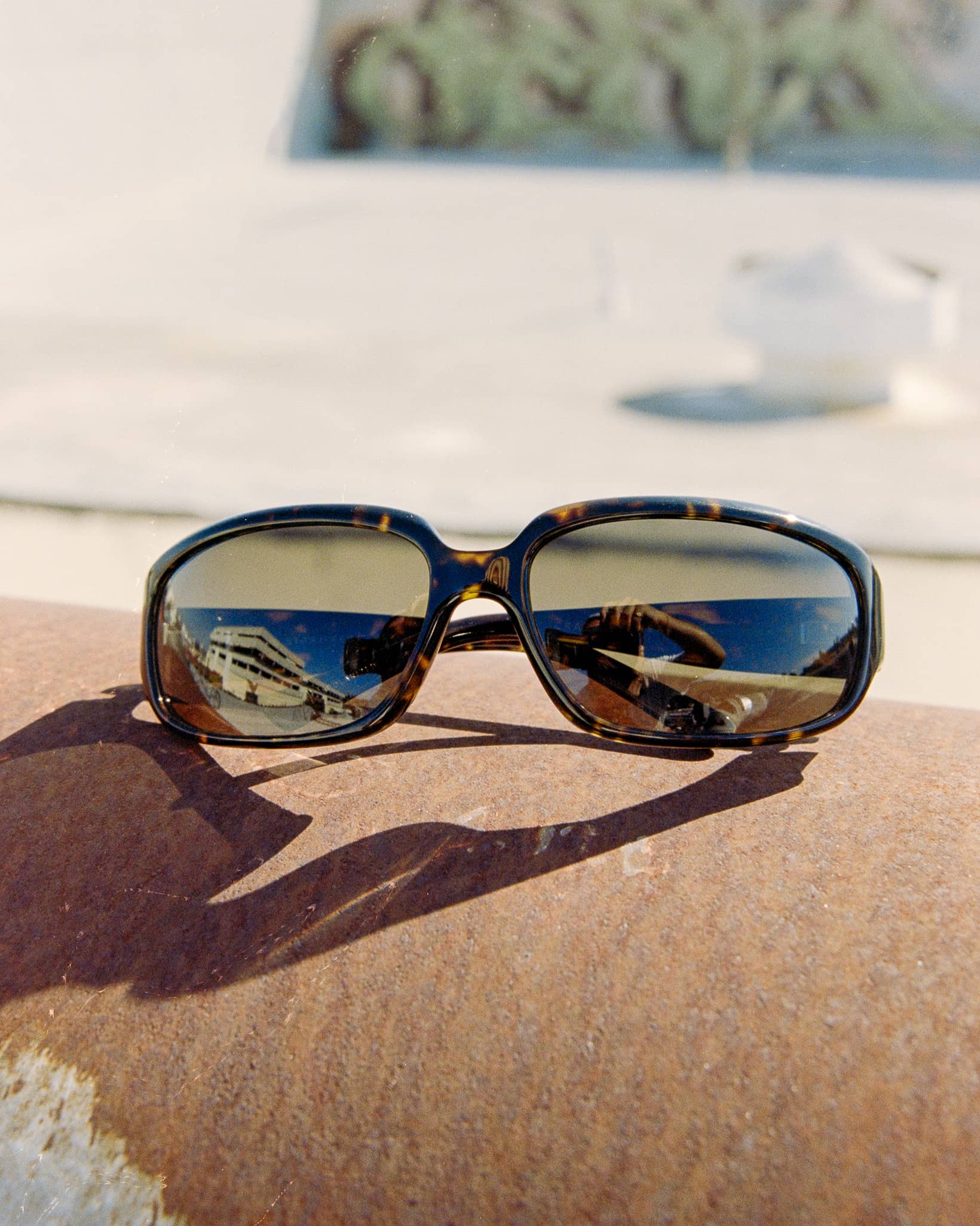 The Stone Echo - Dark Tortoise Bio Polarized-The Stone Echo - Dark Tortoise Bio Polarized-6