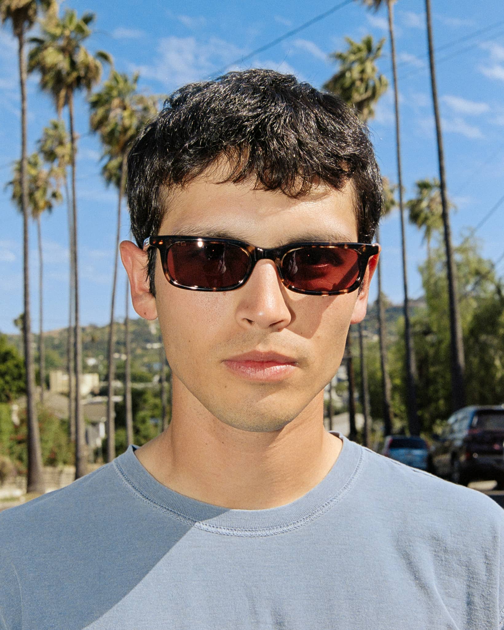 -The Idle Daze - Desert Tortoise Bio Polarized-3