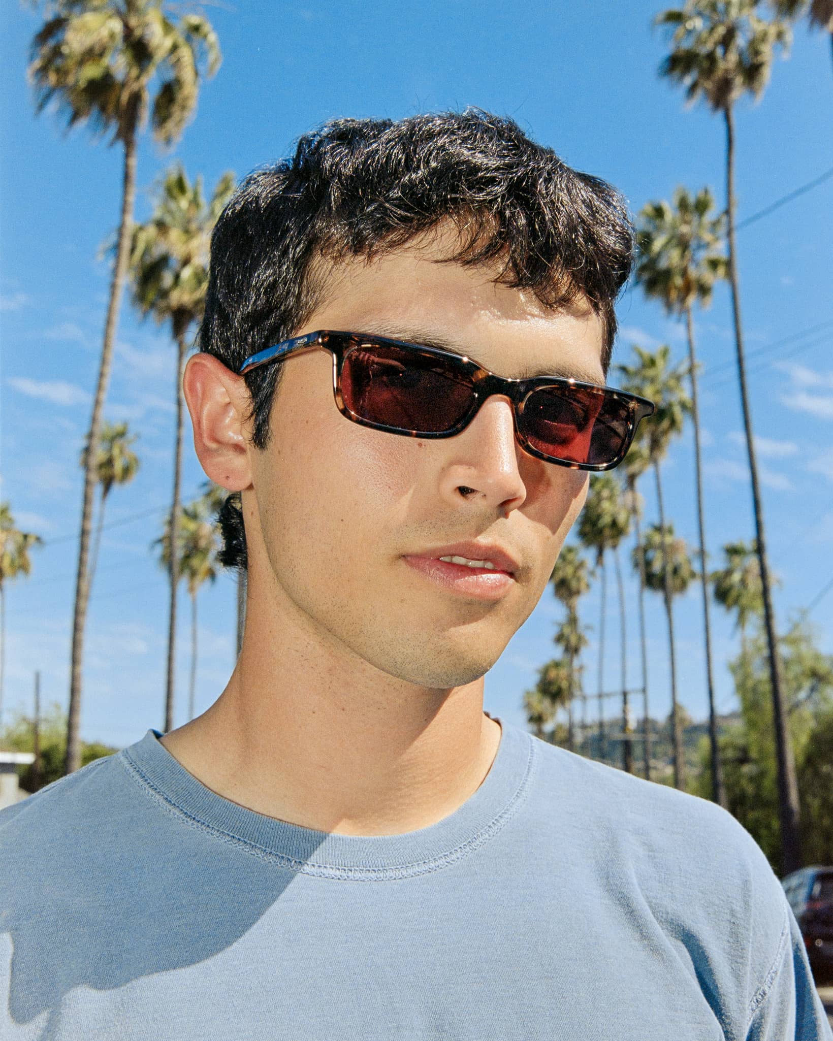 -The Idle Daze - Desert Tortoise Bio Polarized-4