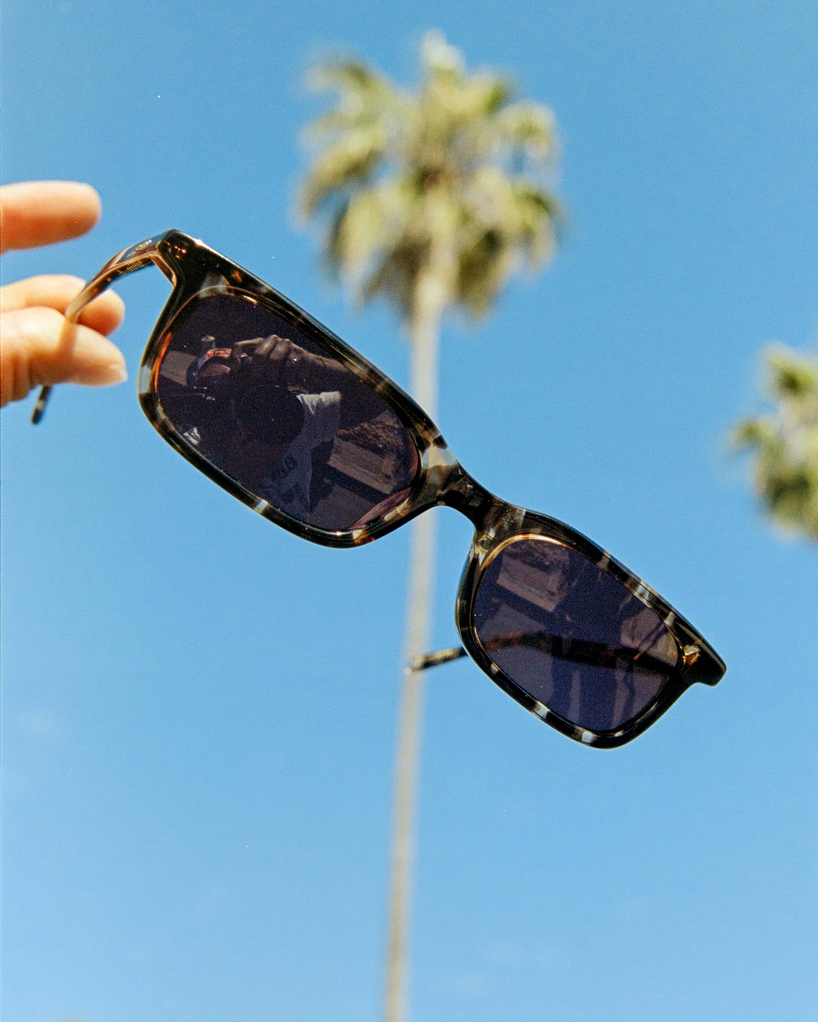 -The Idle Daze - Desert Tortoise Bio Polarized-7
