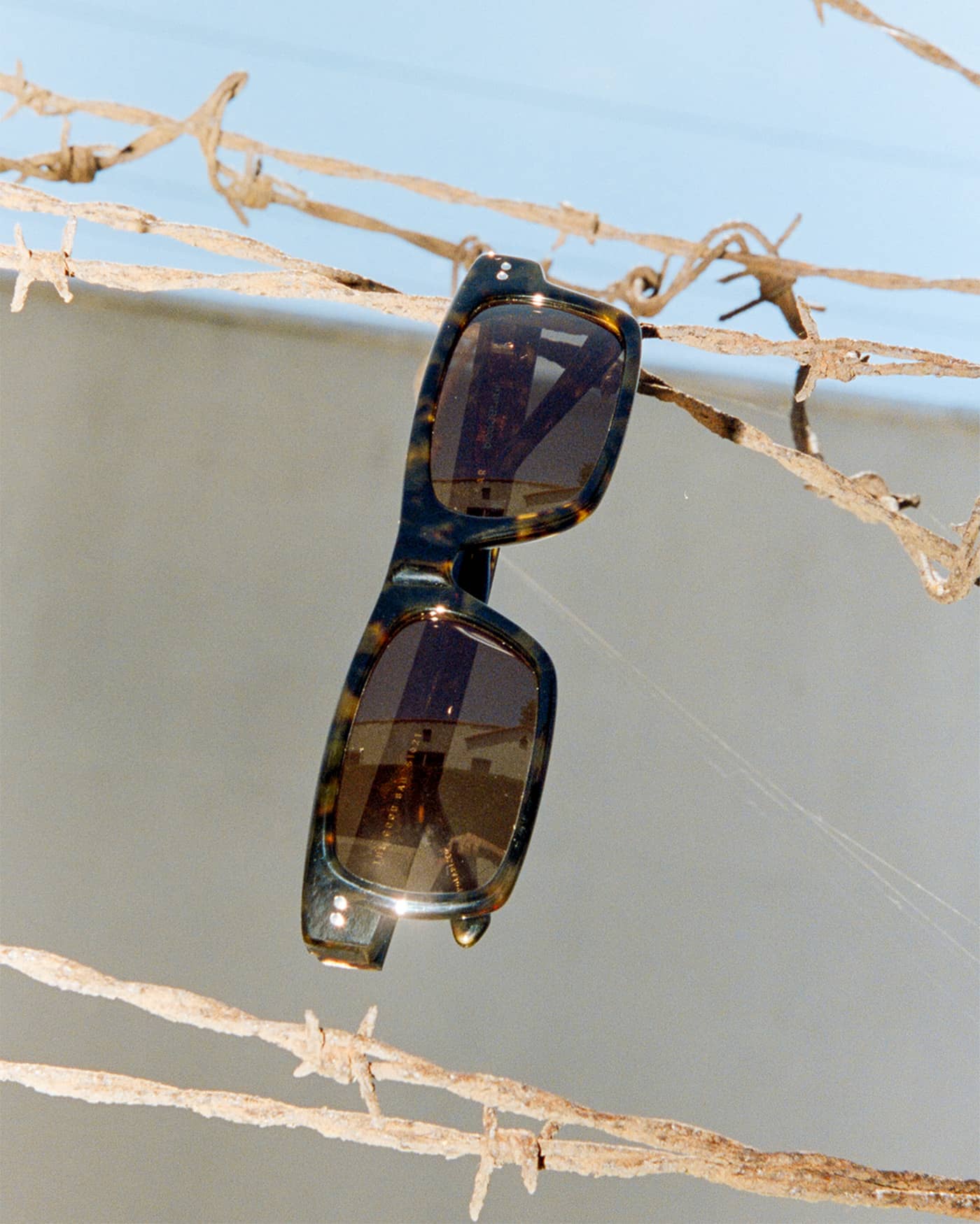 -The Good Bad - Dark Tortoise Bio Polarized-9