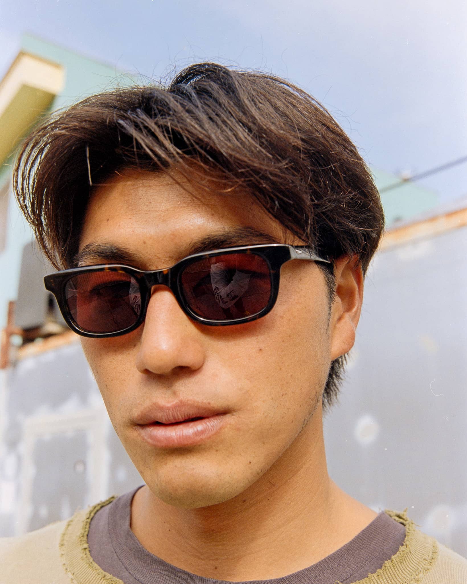 -The Pop Control - Dark Tortoise Bio Polarized-5