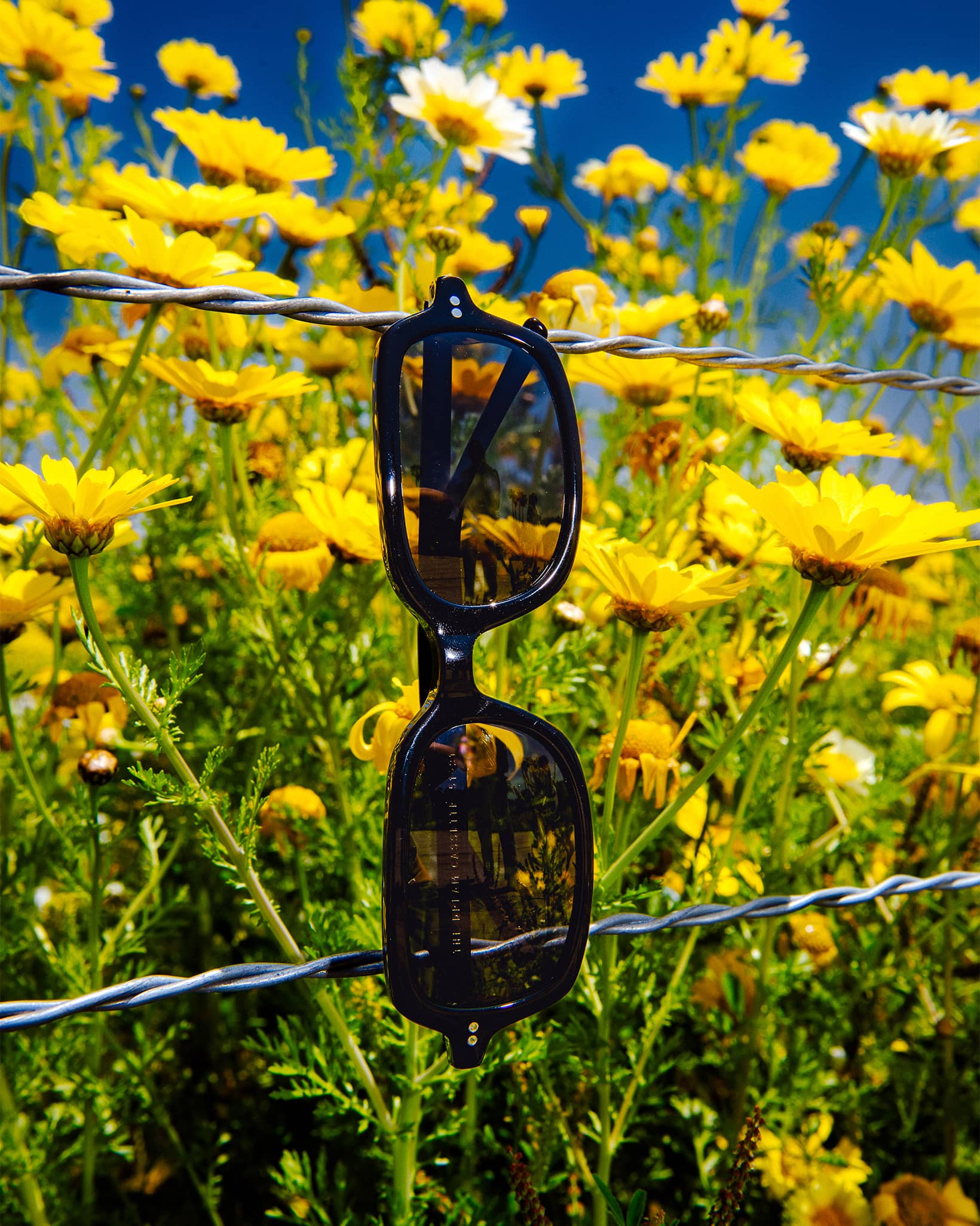 -The Dream Cassette - Black Bio Polarized-8
