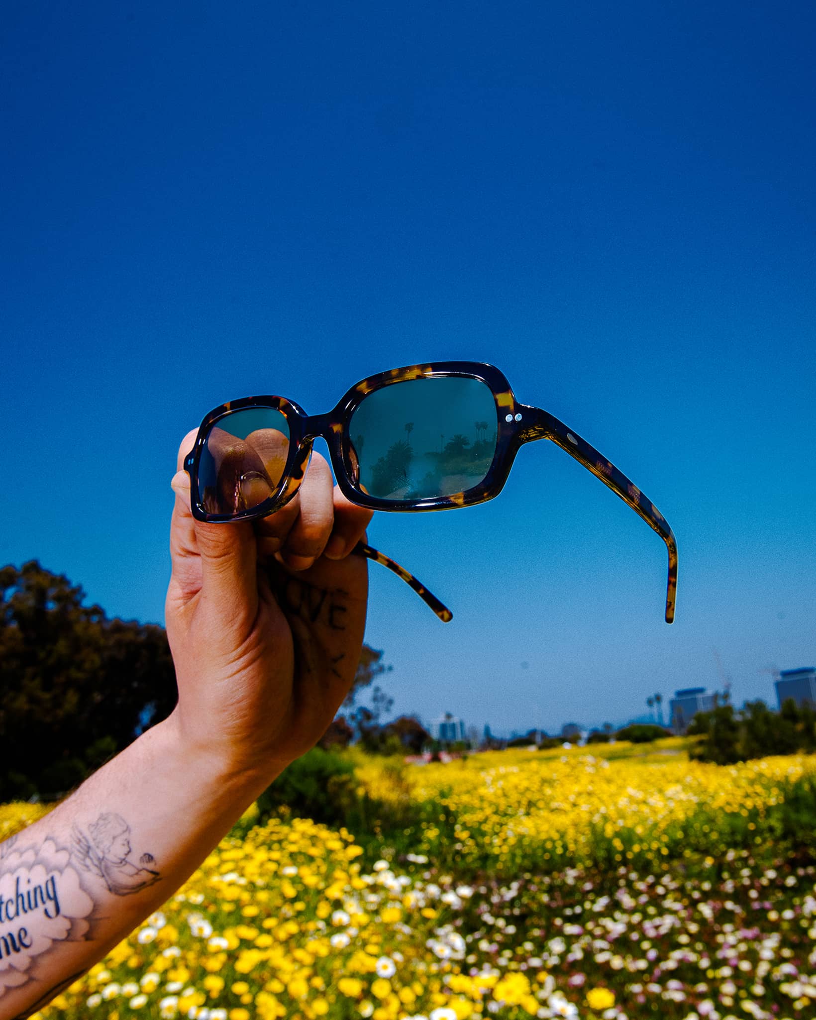 -The Dream Cassette - Lunar Tortoise Bio Polarized-9