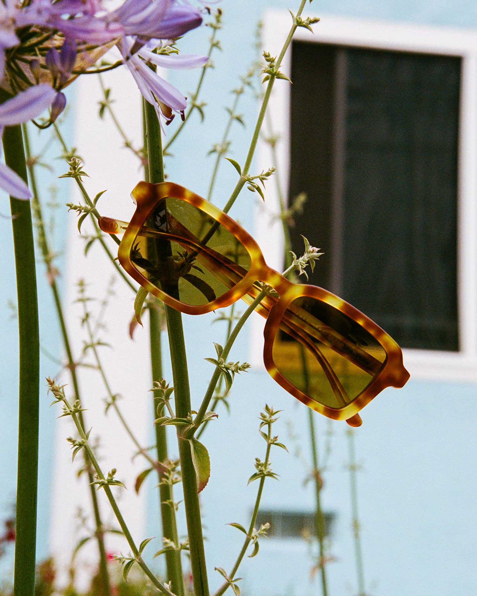 -The Heavy Tropix - Blonde Tortoise Bio Polarized-4