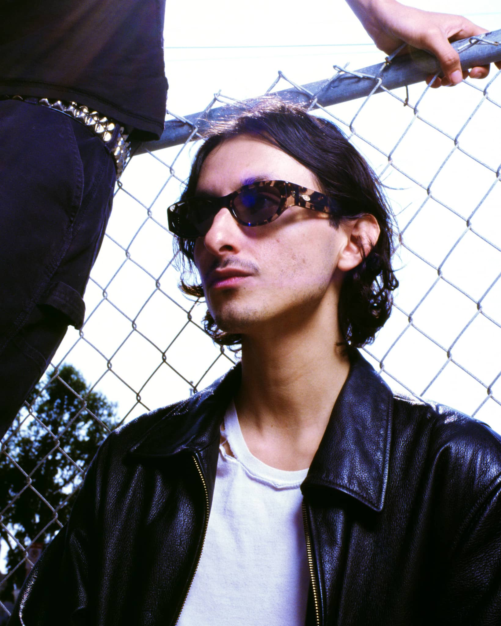 -The Funk Punk - Desert Tortoise Bio Polarized-7