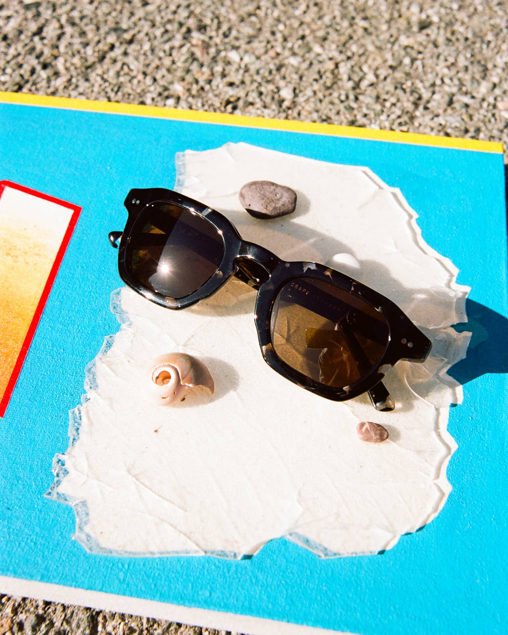 -The No Wave - Black Tortoise Bio Polarized-6