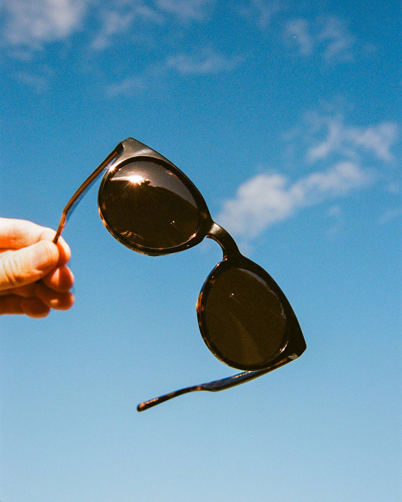 -The Shake Appeal - Dark Tortoise Bio Polarized-3