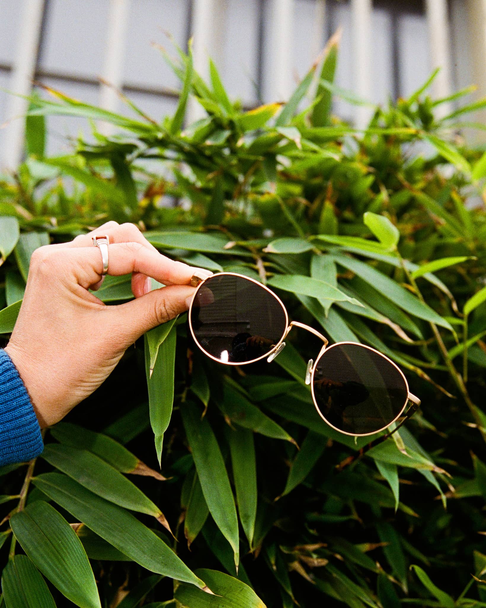 -The Tuff Patrol - Gold Polarized-6
