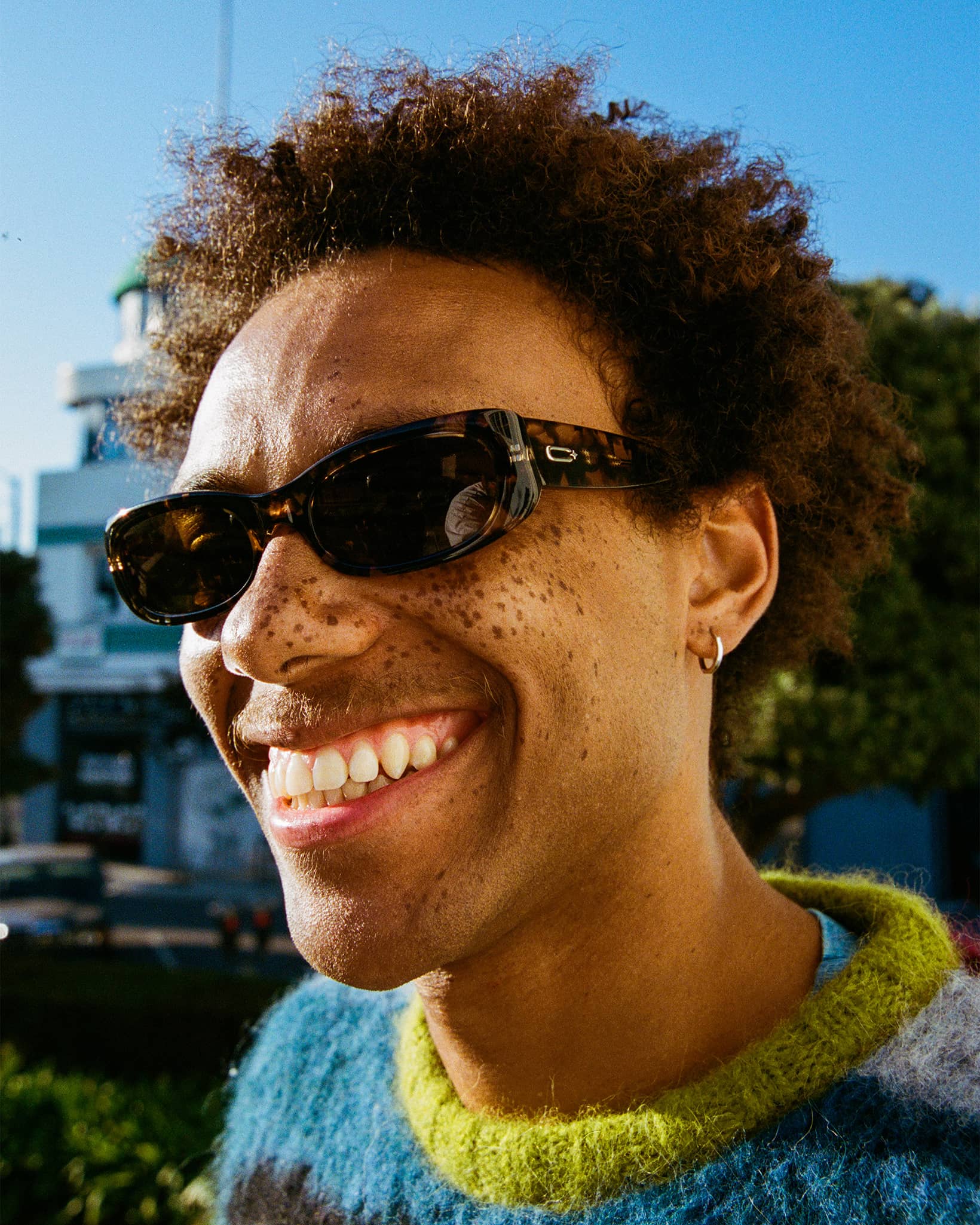 -The Void Pixie - Desert Tortoise Bio Polarized-4