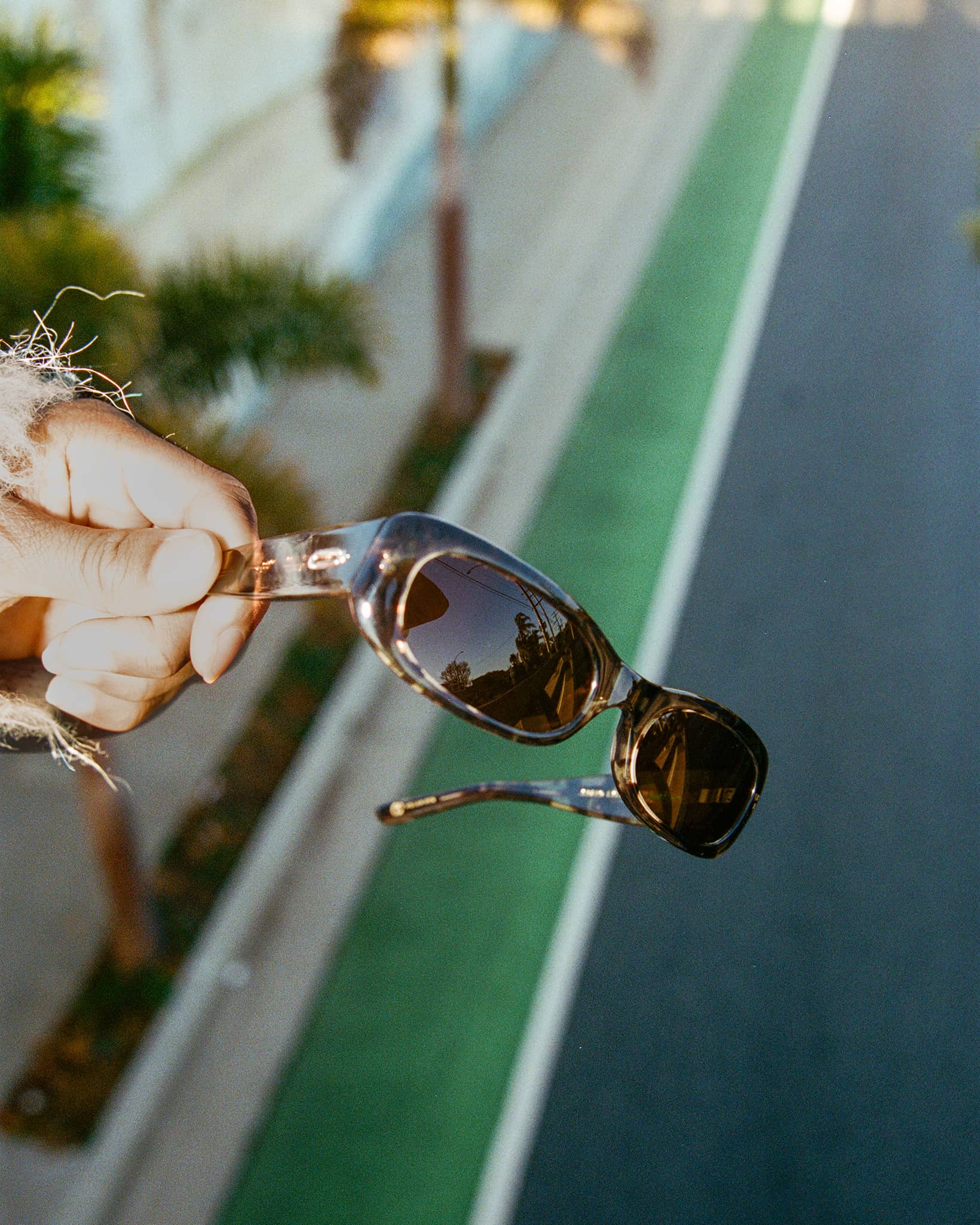 -The Void Pixie - Desert Tortoise Bio Polarized-5