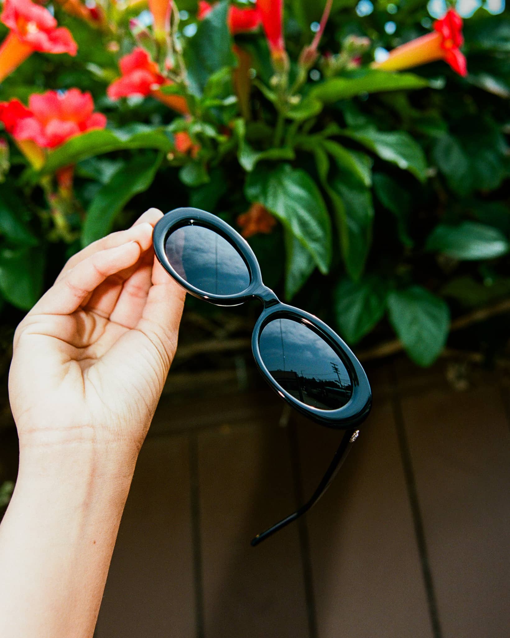 -The Sweet Leaf - Polarized Black Bio-3