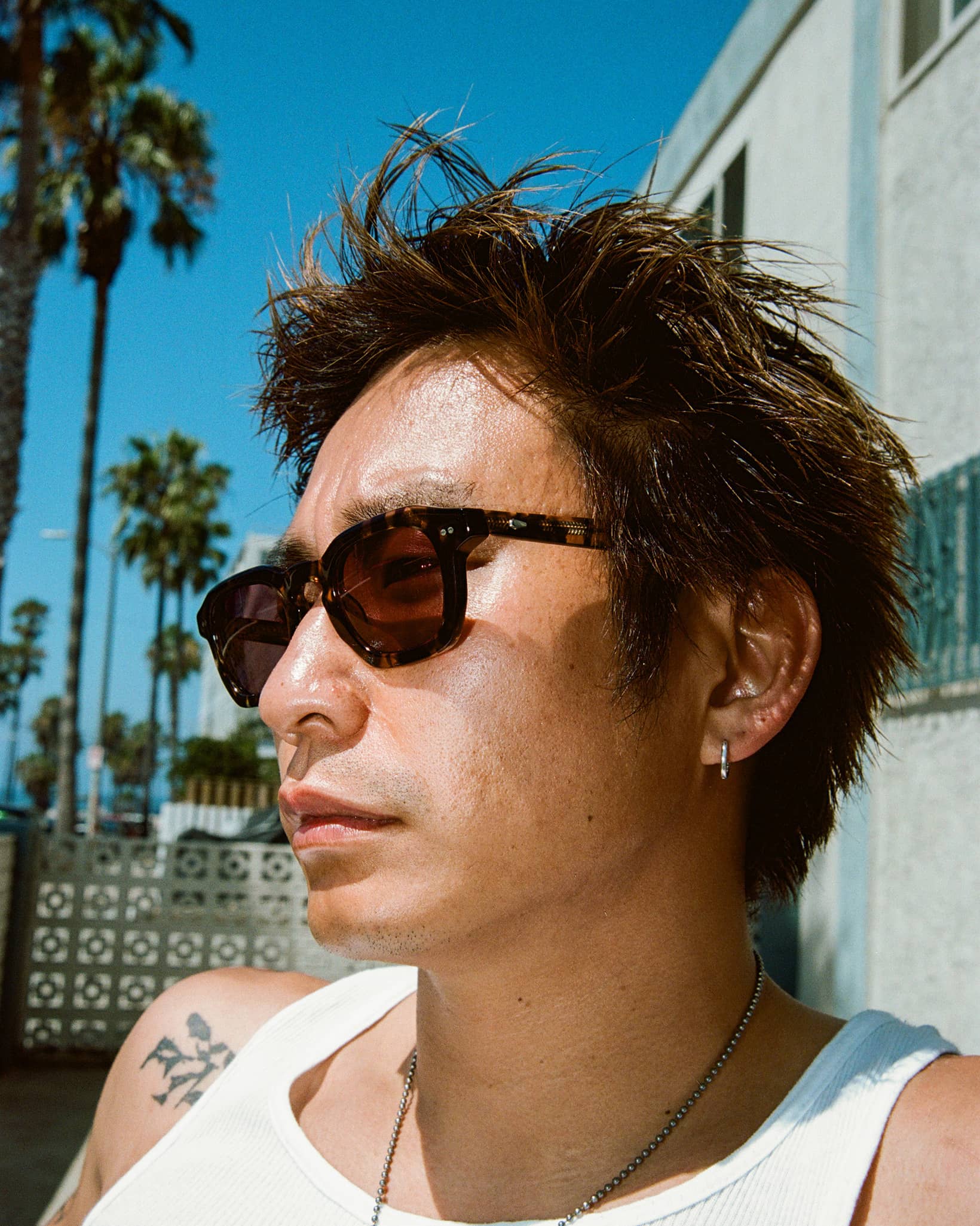 -The No Wave - Desert Tortoise Bio Polarized-3