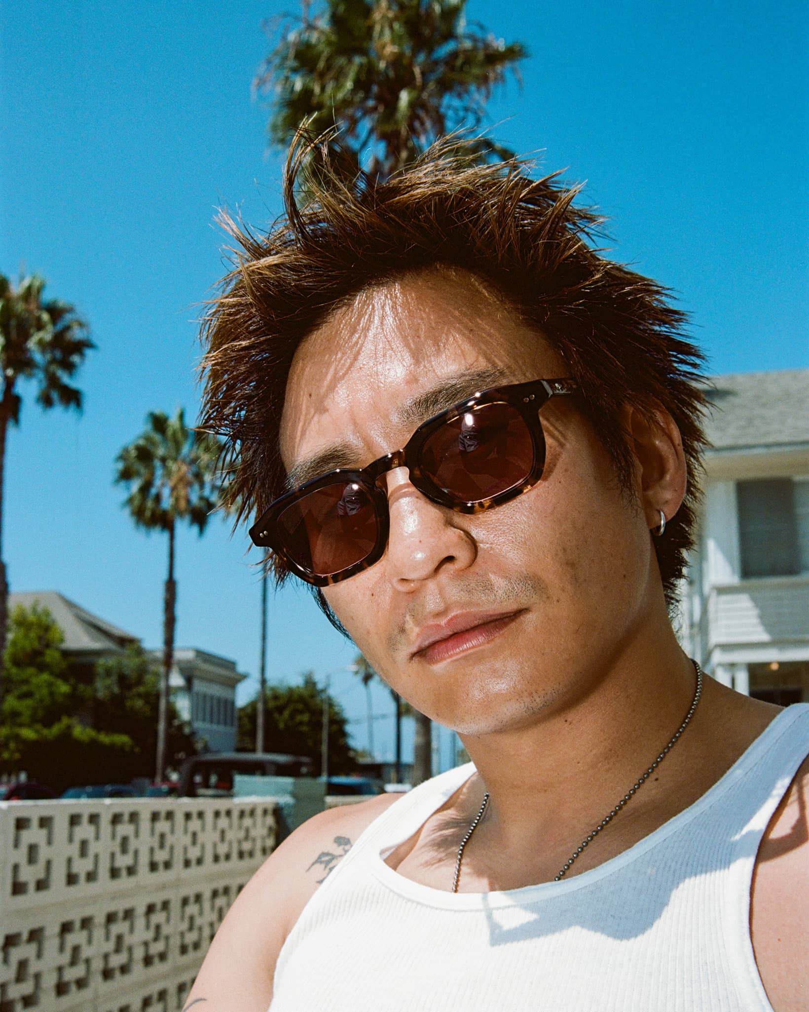 -The No Wave - Desert Tortoise Bio Polarized-4