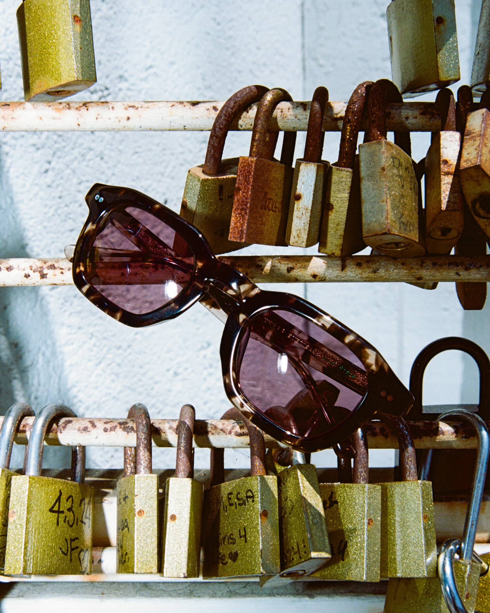 -The No Wave - Desert Tortoise Bio Polarized-8