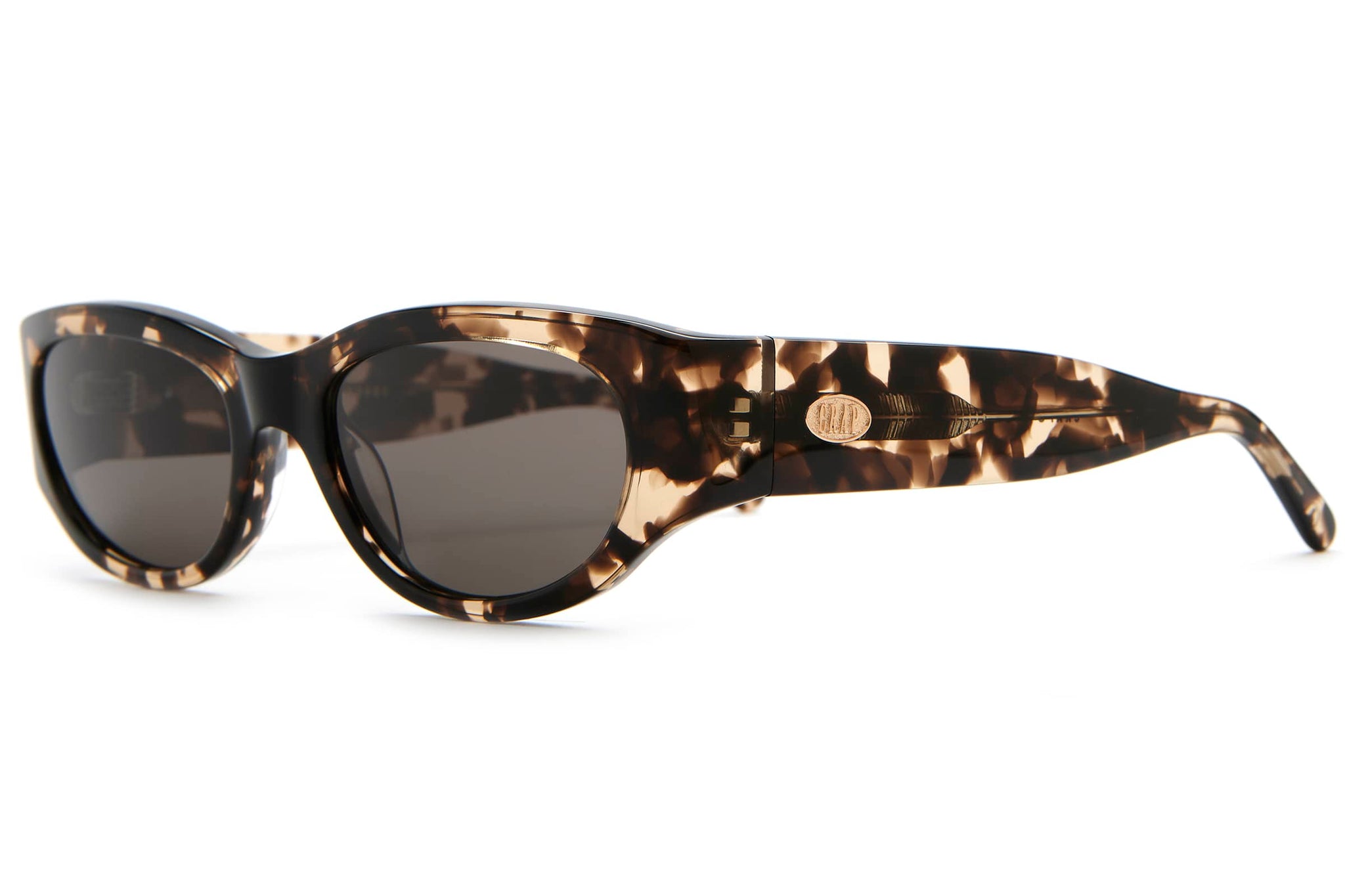-The Funk Punk - Desert Tortoise Bio Polarized-2