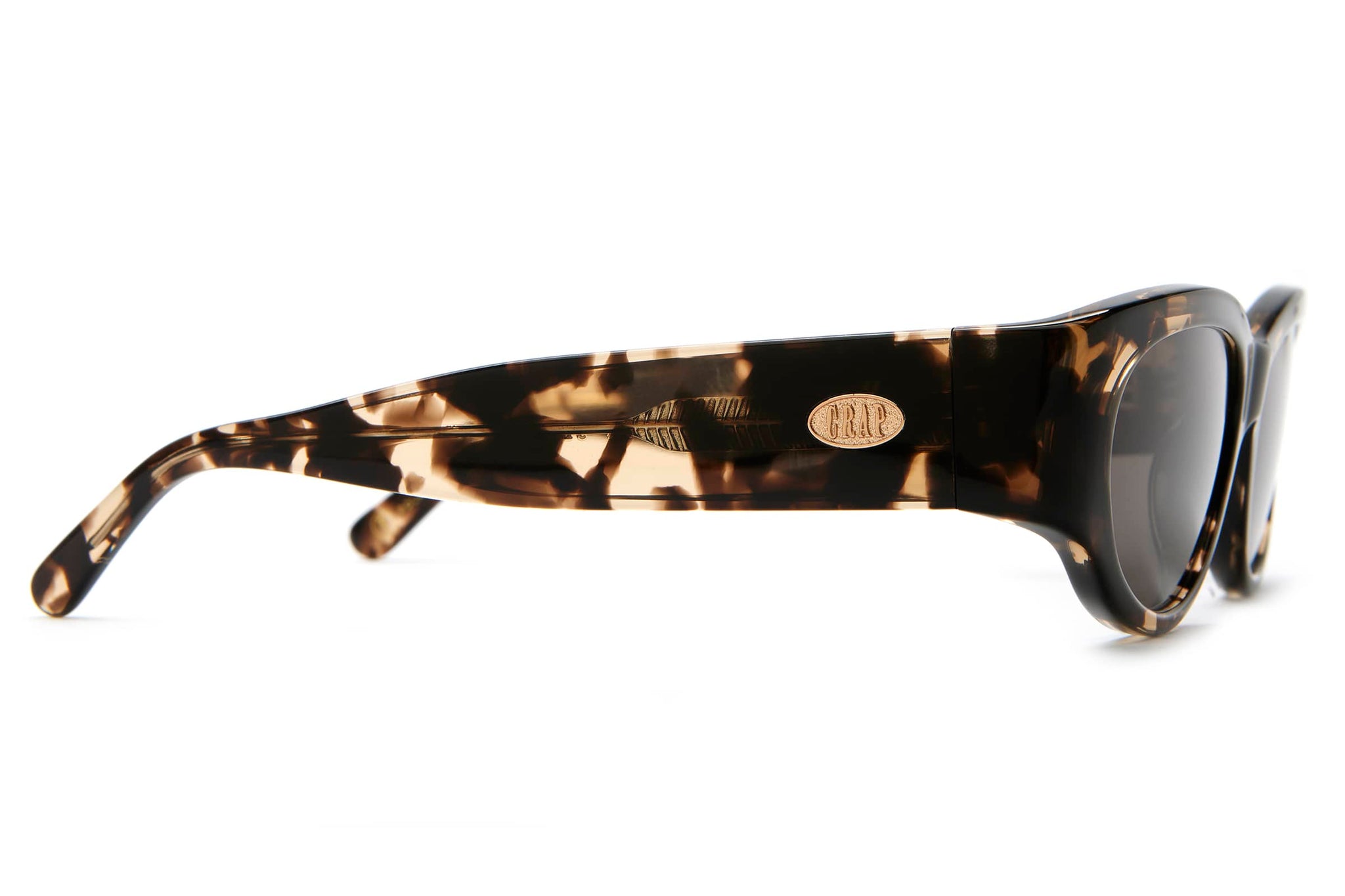 -The Funk Punk - Desert Tortoise Bio Polarized-9