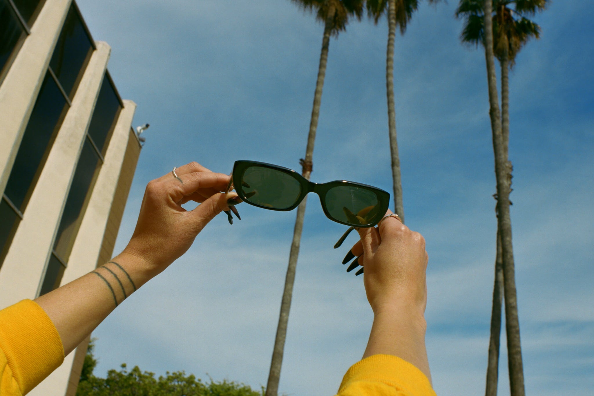 -The Gothic Breeze - Black Bio Polarized-6