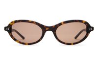 The Marquee Rox - Dark Tortoise Bio