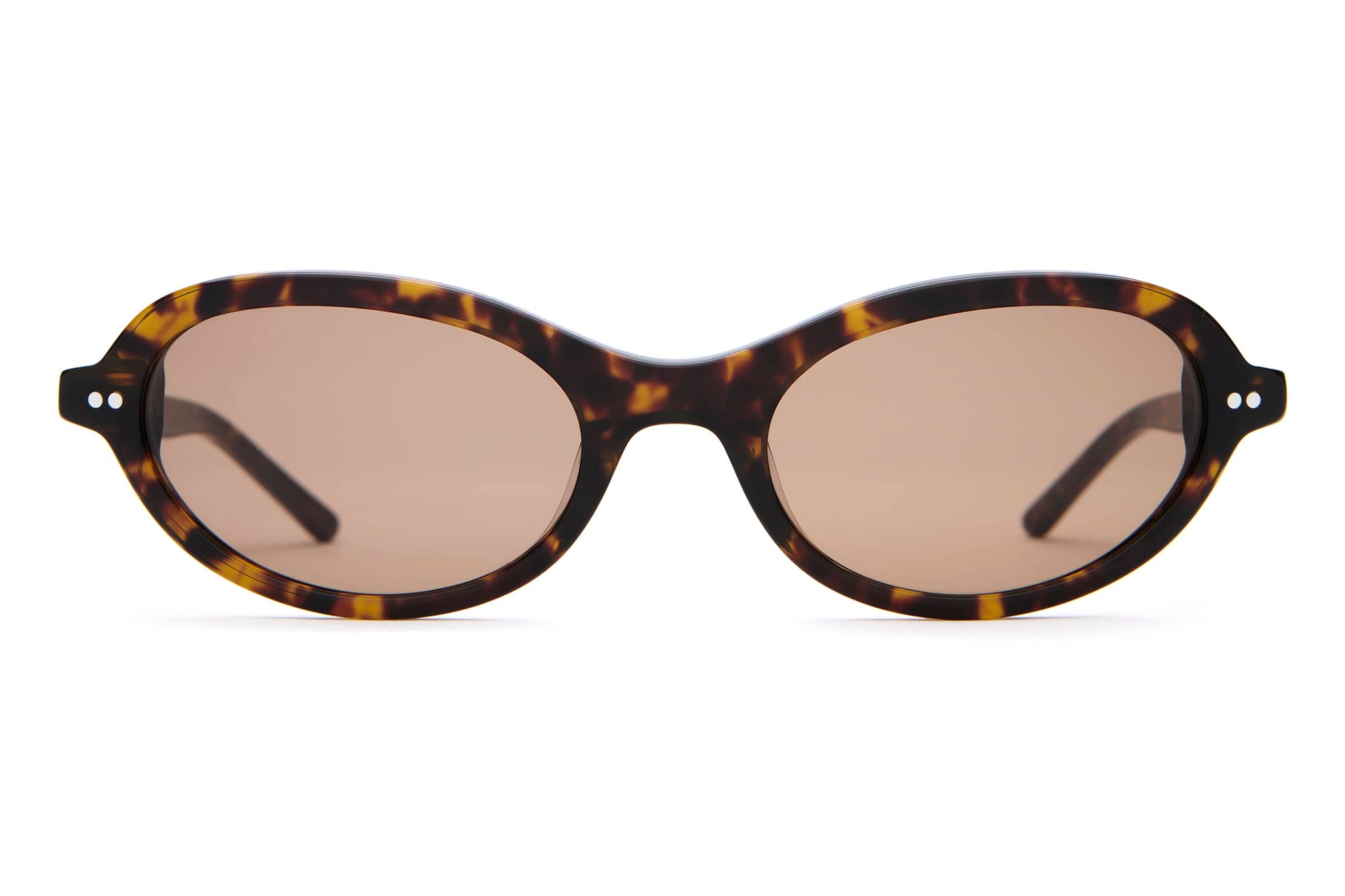 -The Marquee Rox - Dark Tortoise Bio-1