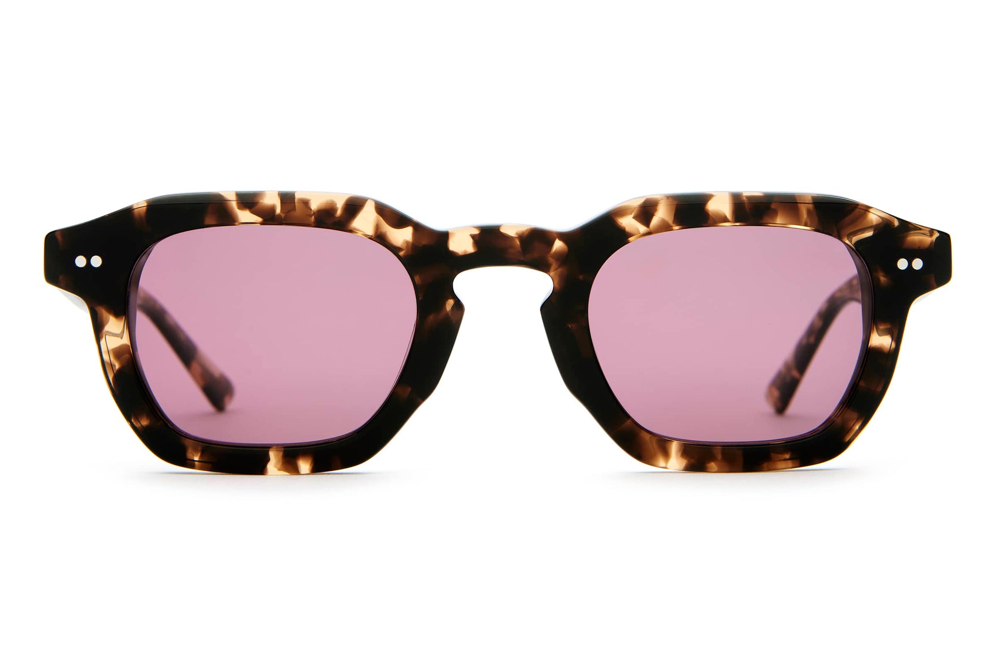 -The No Wave - Desert Tortoise Bio Polarized-1