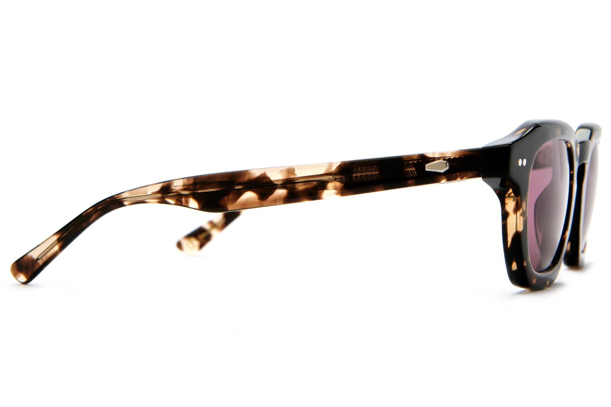 -The No Wave - Desert Tortoise Bio Polarized-10
