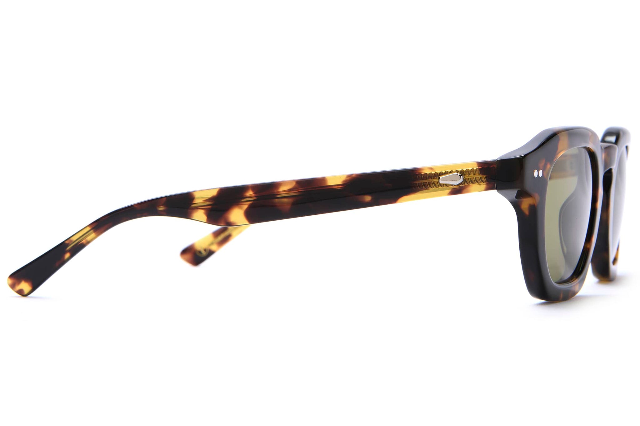 -The No Wave - Lunar Tortoise Bio Polarized-8