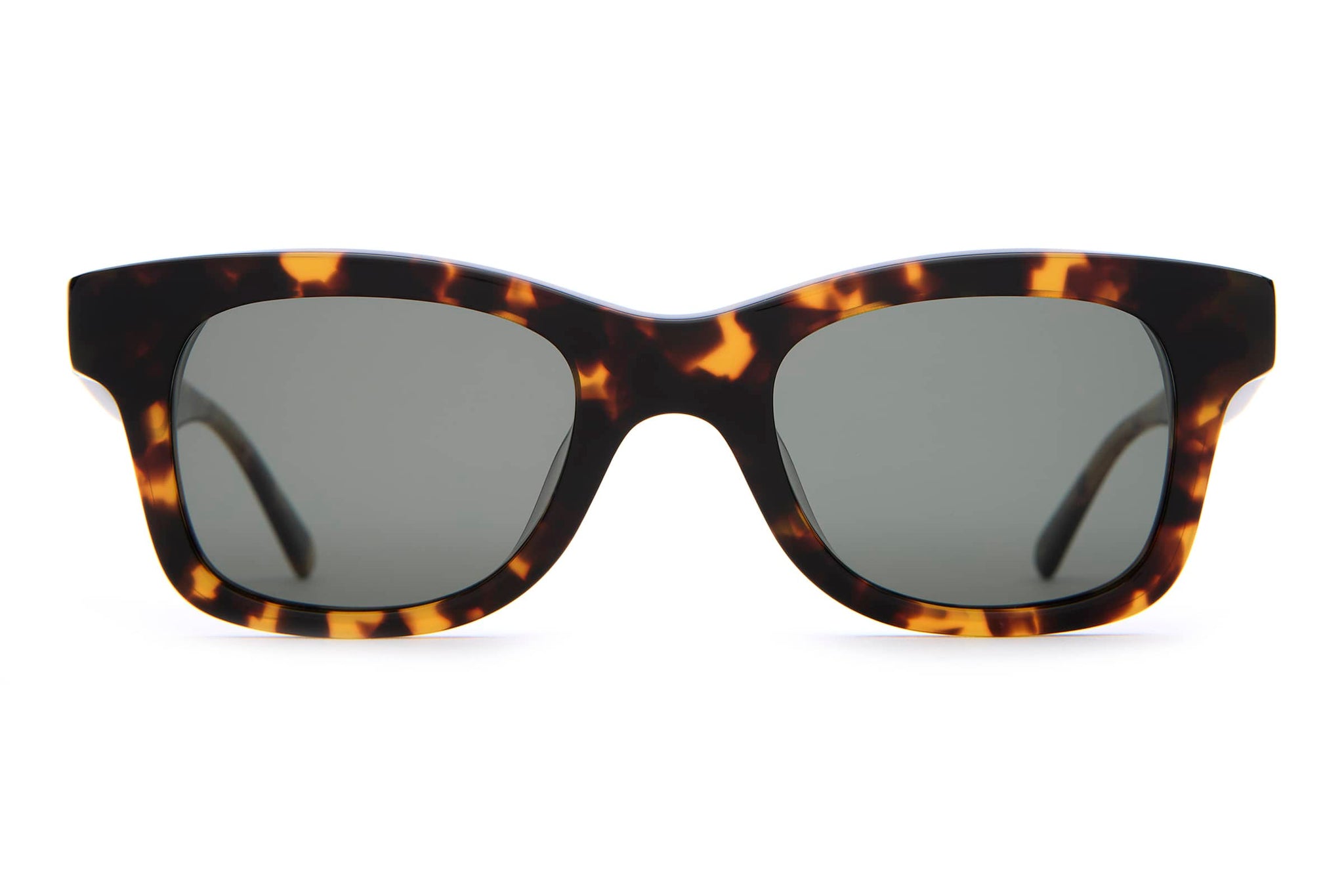 -The Suntan Underground - Lunar Tortoise Bio Polarized-1
