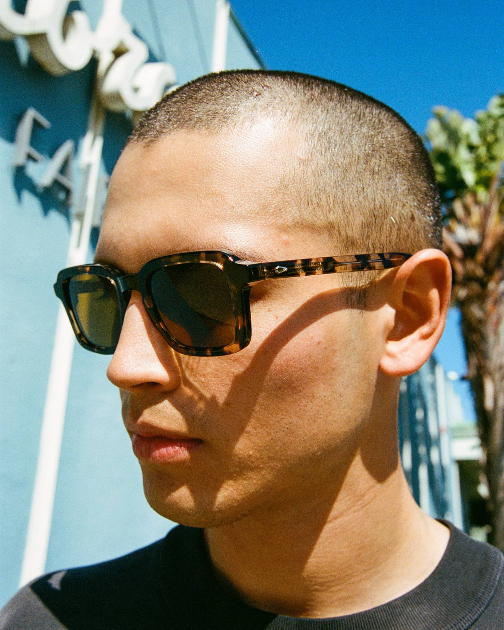 -The Heavy Tropix - Desert Tortoise Bio Polarized-6