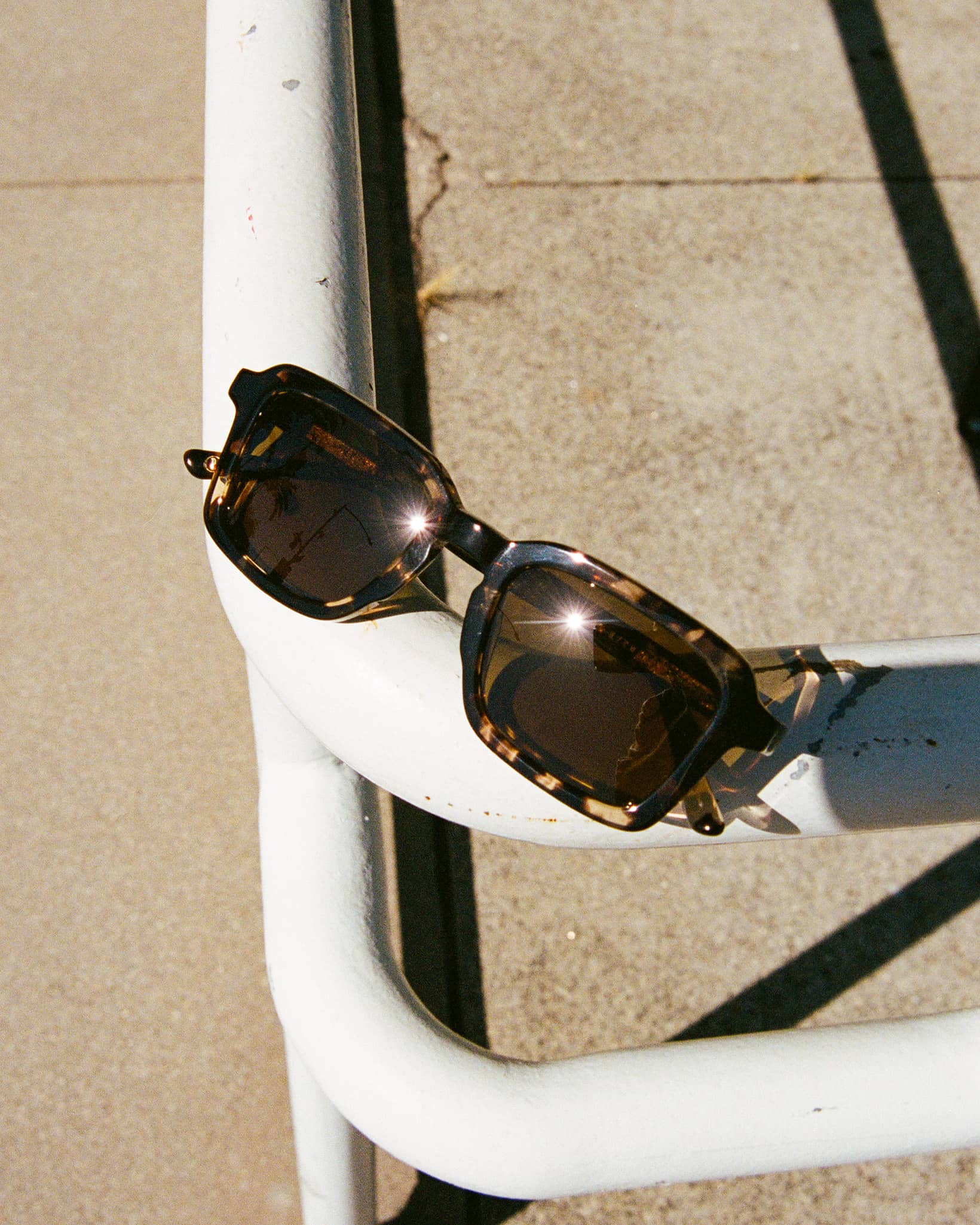 -The Heavy Tropix - Desert Tortoise Bio Polarized-7