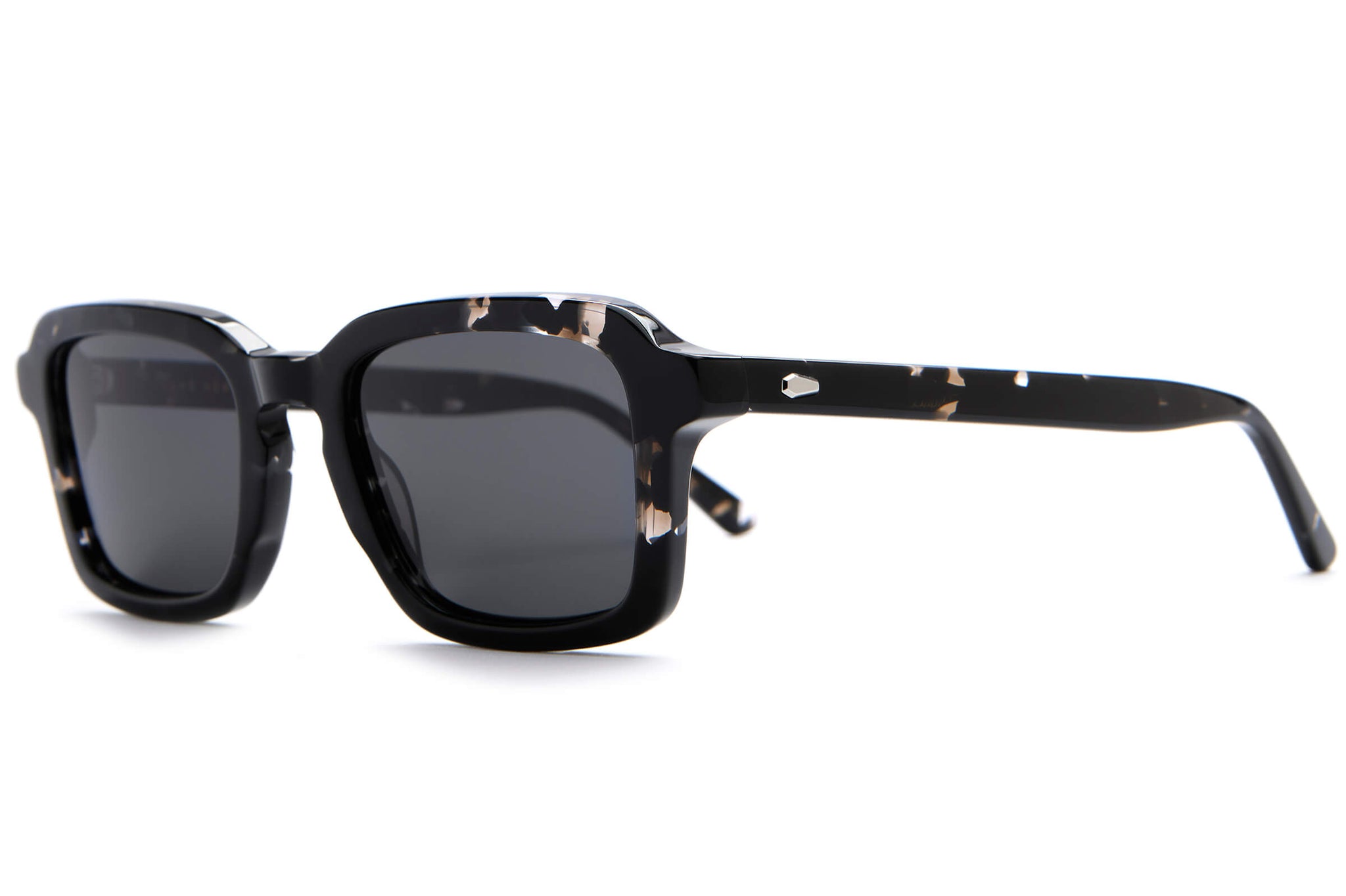 -The Heavy Tropix - Black Tortoise Bio Polarized-2