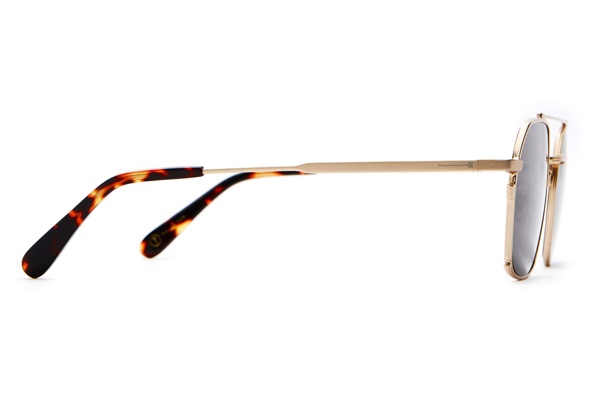 -The Jazz Safari - Gold Polarized-7