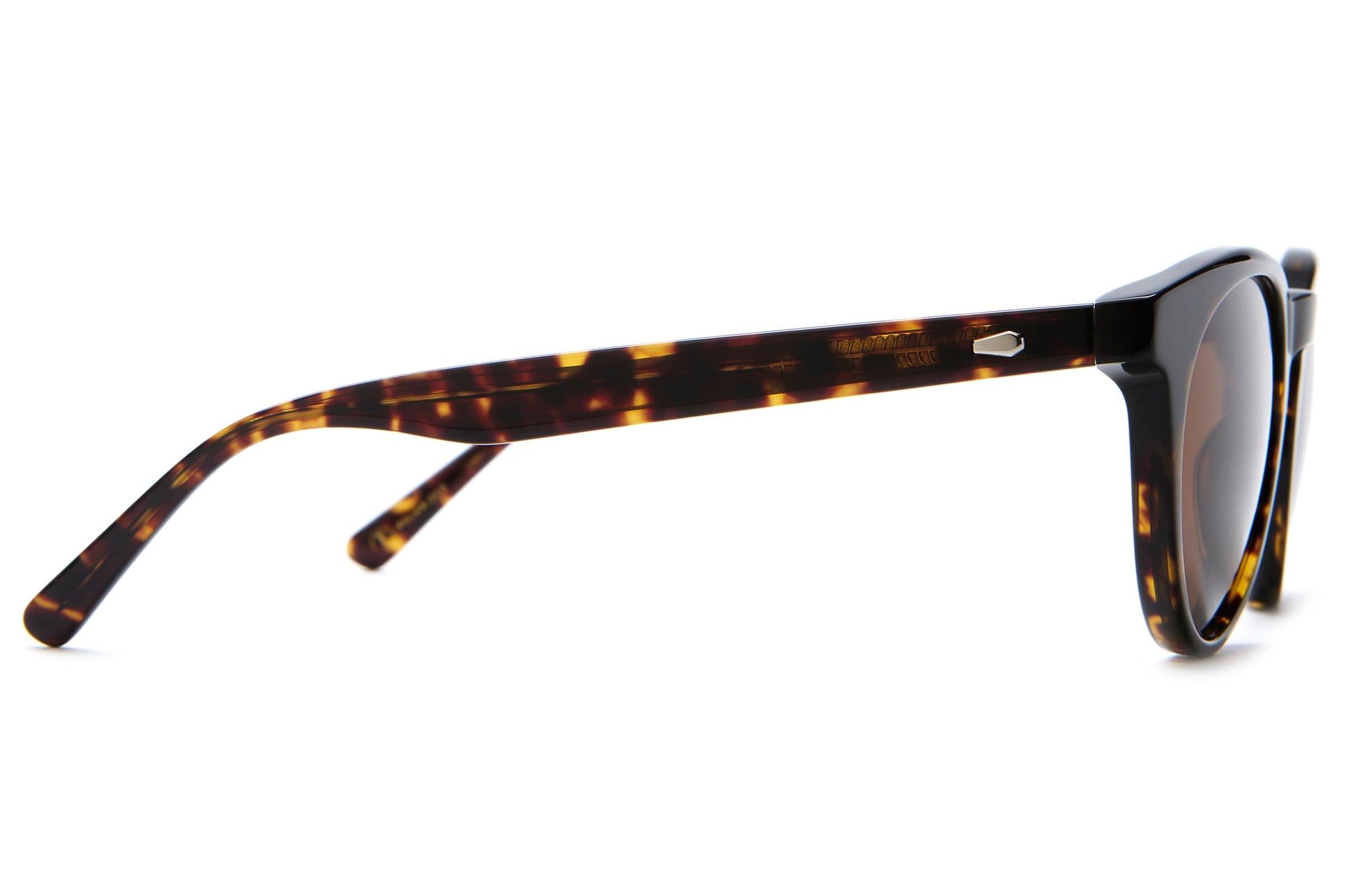 -The Shake Appeal - Dark Tortoise Bio Polarized-4